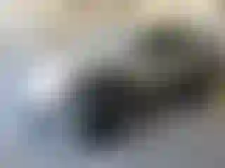 Vehicle Image- 2005 Toyota 4 Runner