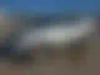 Vehicle Image- 2004 Toyota 4 Runner