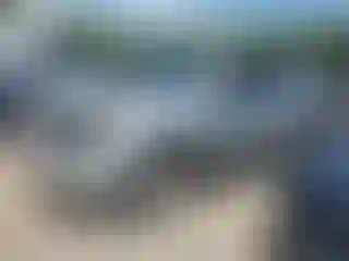 Vehicle Image- 2005 Toyota 4 Runner