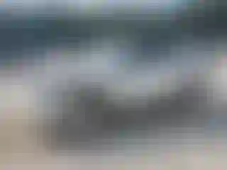 Vehicle Image- 2006 Toyota 4 Runner