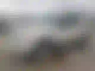 Vehicle Image- 2007 Toyota 4 Runner