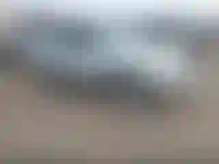 Vehicle Image- 2004 Toyota 4 Runner