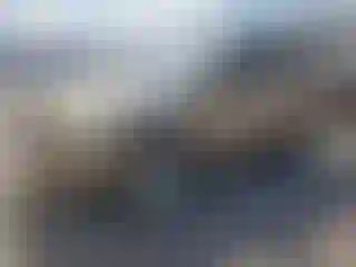 Vehicle Image- 2005 Toyota 4 Runner