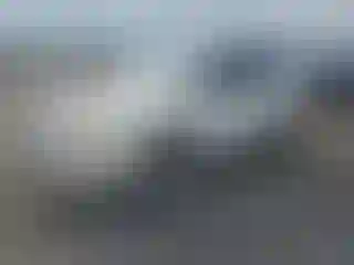 Vehicle Image- 2004 Toyota 4 Runner