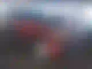 Vehicle Image- 2006 Toyota 4 Runner