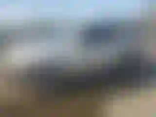 Vehicle Image- 2007 Toyota 4 Runner