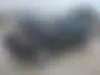 Vehicle Image- 2008 Toyota 4 Runner