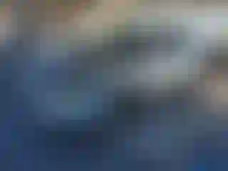 Vehicle Image- 2007 Toyota 4 Runner