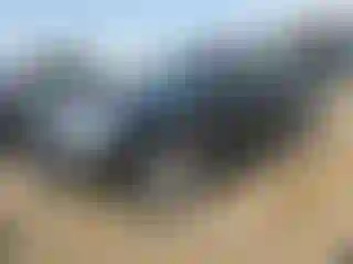 Vehicle Image- 2004 Toyota 4 Runner