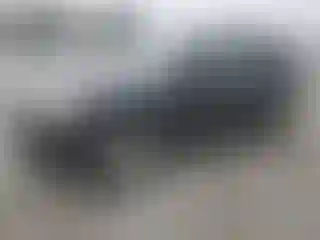 Vehicle Image- 2007 Toyota 4 Runner