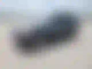 Vehicle Image- 2007 Toyota 4 Runner