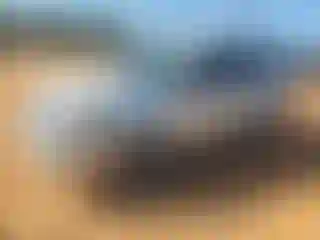 Vehicle Image- 2007 Toyota 4 Runner