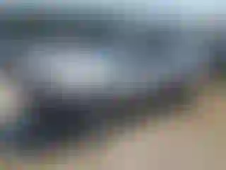 Vehicle Image- 2007 Toyota 4 Runner