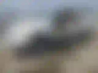Vehicle Image- 2006 Toyota 4 Runner