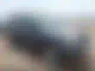 Vehicle Image- 2007 Toyota 4 Runner