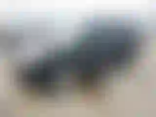 Vehicle Image- 2008 Toyota 4 Runner