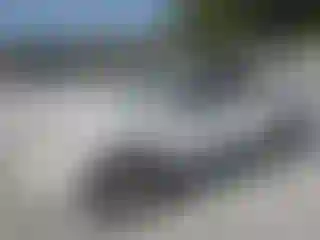 Vehicle Image- 2004 Toyota 4 Runner