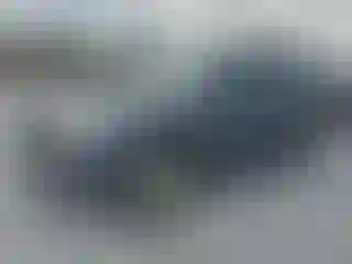 Vehicle Image- 2005 Toyota 4 Runner