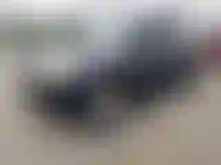 Vehicle Image- 2008 Toyota 4 Runner