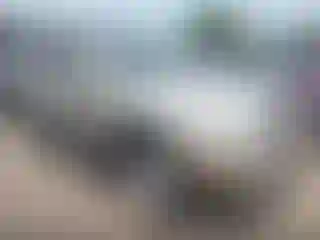 Vehicle Image- 2005 Toyota 4 Runner