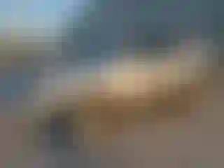 Vehicle Image- 2005 Toyota 4 Runner