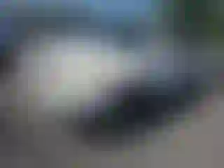 Vehicle Image- 2006 Toyota 4 Runner