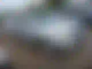 Vehicle Image- 2003 Toyota 4 Runner