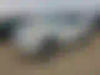 Vehicle Image- 2010 Toyota 4 Runner