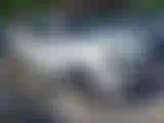 Vehicle Image- 2014 Toyota 4 Runner