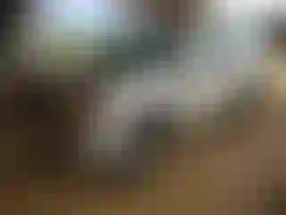 Vehicle Image- 2010 Toyota 4 Runner