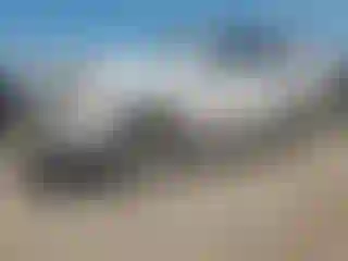 Vehicle Image- 2010 Toyota 4 Runner