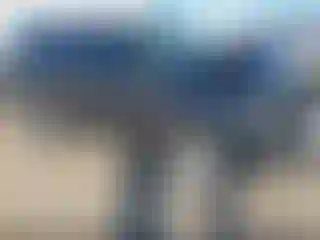 Vehicle Image- 2015 Toyota 4 Runner