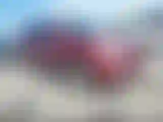 Vehicle Image- 2010 Toyota 4 Runner