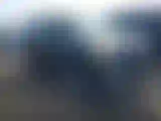 Vehicle Image- 2010 Toyota 4 Runner