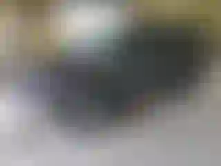 Vehicle Image- 2011 Toyota 4 Runner