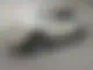 Vehicle Image- 2011 Toyota 4 Runner