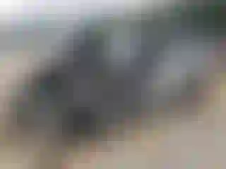 Vehicle Image- 2013 Toyota 4 Runner