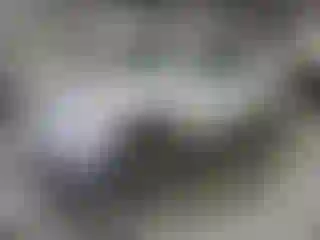 Vehicle Image- 2011 Toyota 4 Runner