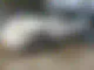Vehicle Image- 2006 Lexus ES