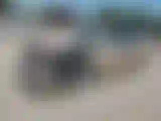 Vehicle Image- 2004 Lexus ES