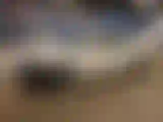 Vehicle Image- 2004 Lexus ES