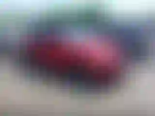 Vehicle Image- 2008 Lexus IS
