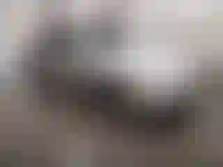 Vehicle Image- 2003 Lexus ES