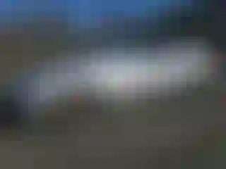 Vehicle Image- 2002 Lexus ES
