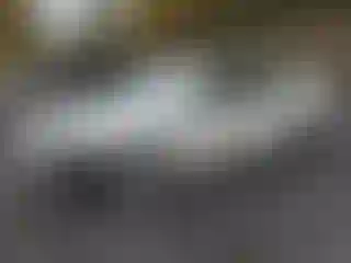 Vehicle Image- 2002 Lexus ES