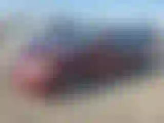 Vehicle Image- 2007 Lexus ES