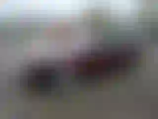 Vehicle Image- 2008 Lexus ES