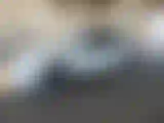 Vehicle Image- 2008 Lexus ES