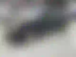 Vehicle Image- 2010 Lexus ES