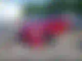 IMPORTOWO.pl